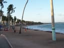 Praia com coqueiros em Maceió, Alagoas