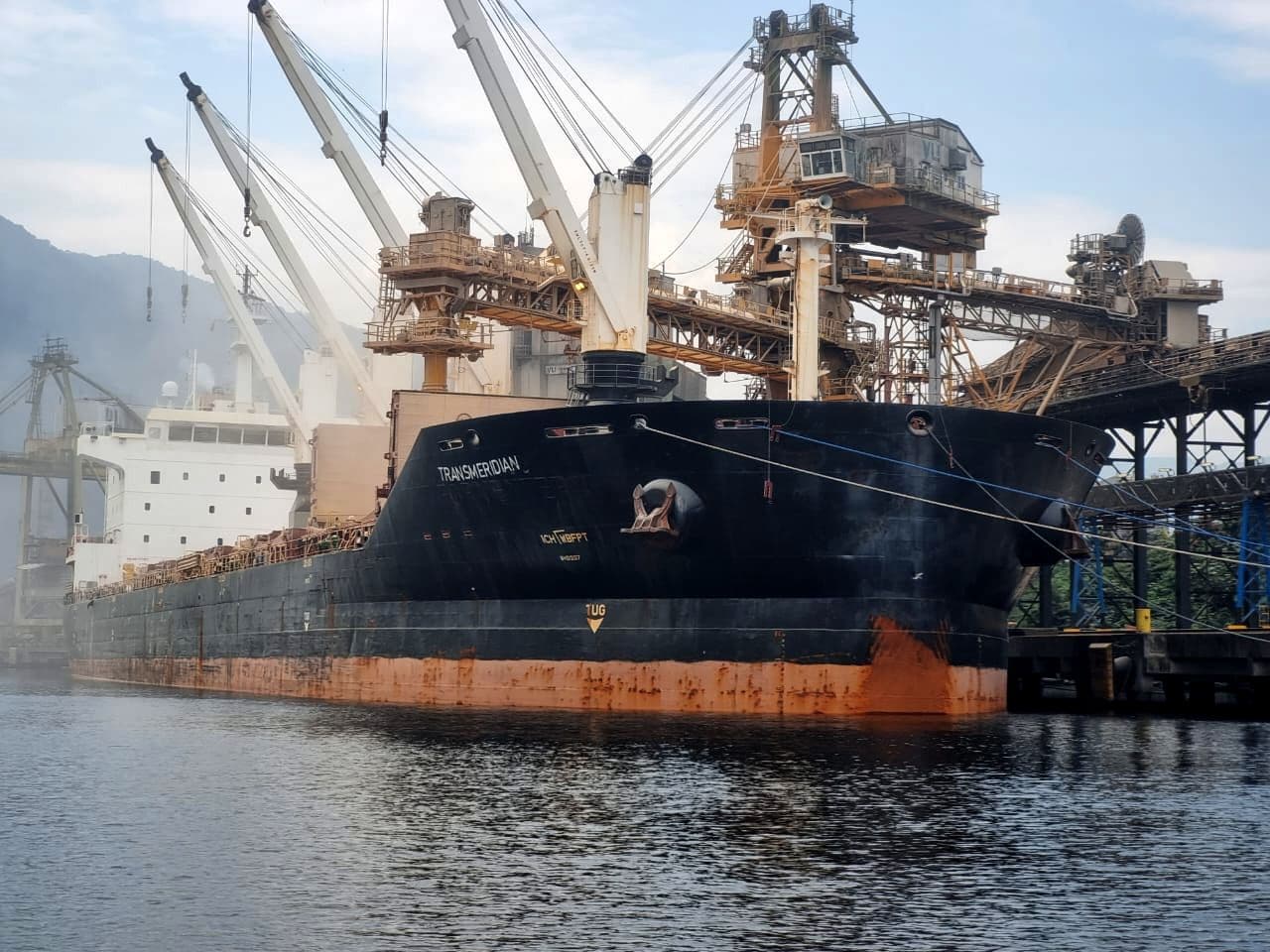 Navio cargueiro atracado em terminal do Porto de Santos, com guindastes de carga